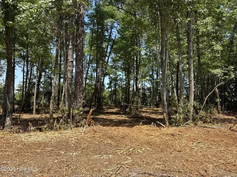 Lot 4 Near 4102 Swamp Fox (Lot 4) Highway W Tabor City NC 28463