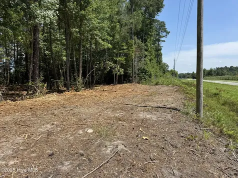 Lot 4 Near 4102 Swamp Fox (Lot 4) Highway W Tabor City NC 28463
