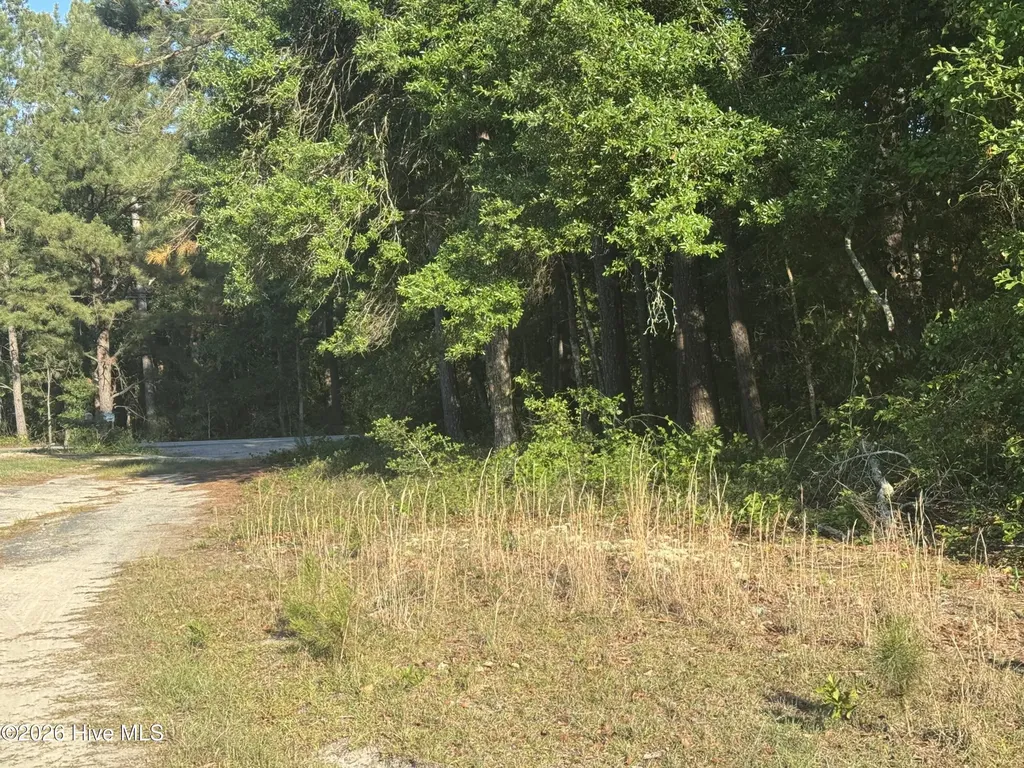 114 Green Cedar Drive Hamlet NC 28345