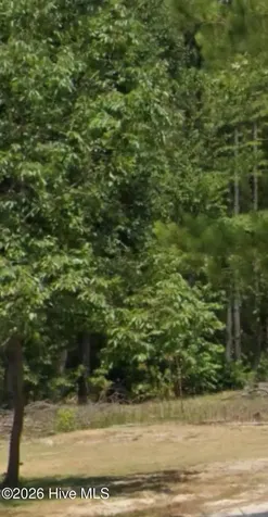 114 Green Cedar Drive Hamlet NC 28345