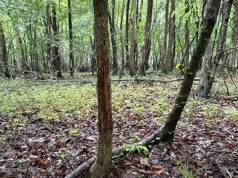0 Kirkman Road Robersonville NC 27871