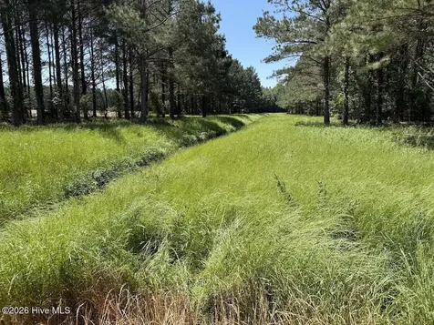 0 Kirkman Road Robersonville NC 27871