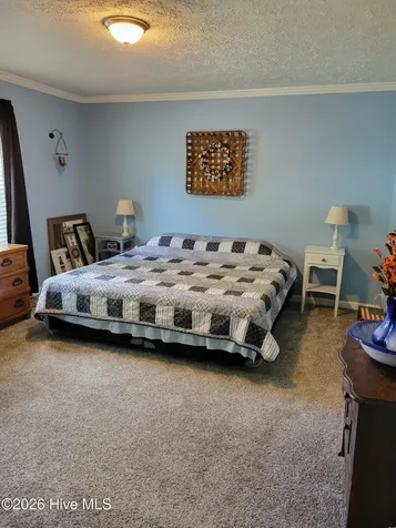 3729 Bryan Hardy Road La Grange NC 28551