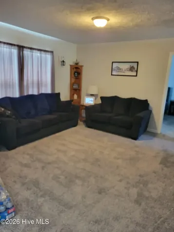 3729 Bryan Hardy Road La Grange NC 28551