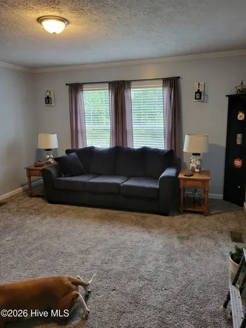 3729 Bryan Hardy Road La Grange NC 28551