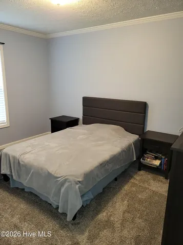 3729 Bryan Hardy Road La Grange NC 28551
