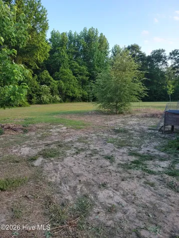 3729 Bryan Hardy Road La Grange NC 28551