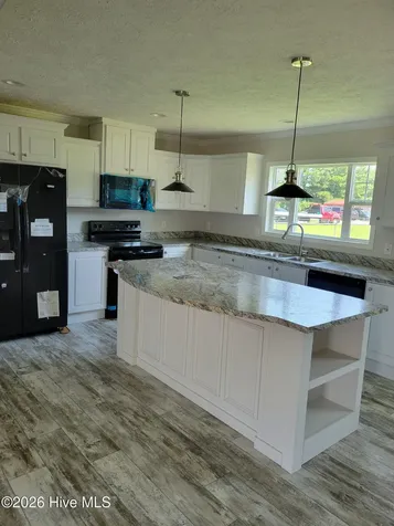 3729 Bryan Hardy Road La Grange NC 28551