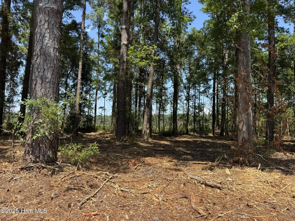 Lot 6 Near 4102 Swamp Fox Highway W Tabor City NC 28463