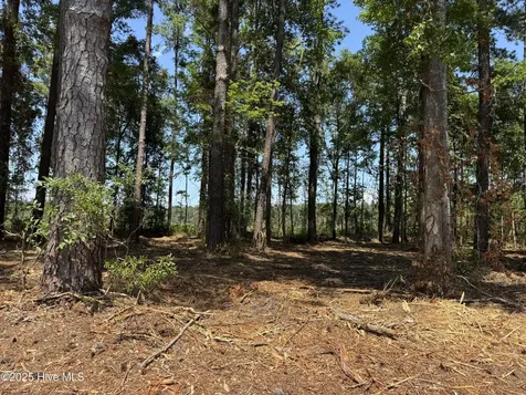 Lot 6 Near 4102 Swamp Fox Highway W Tabor City NC 28463