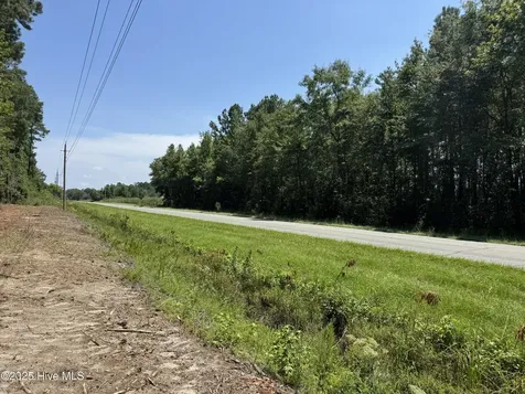 Lot 6 Near 4102 Swamp Fox Highway W Tabor City NC 28463