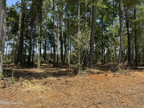 Lot 6 Near 4102 Swamp Fox Highway W Tabor City NC 28463