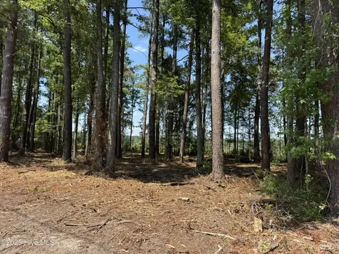 Lot 6 Near 4102 Swamp Fox Highway W Tabor City NC 28463