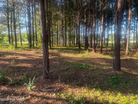 110 Turnstone Way Beaufort NC 28516
