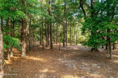 1837 Harbour Edge Lane SW Supply NC 28462