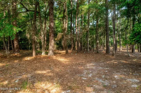 1837 Harbour Edge Lane SW Supply NC 28462