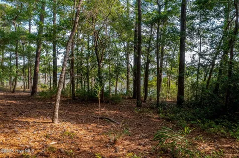 1837 Harbour Edge Lane SW Supply NC 28462