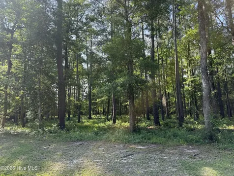 221 Bridgewater Drive Beaufort NC 28516