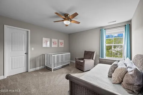 303 Red Cedar Drive Sneads Ferry NC 28460