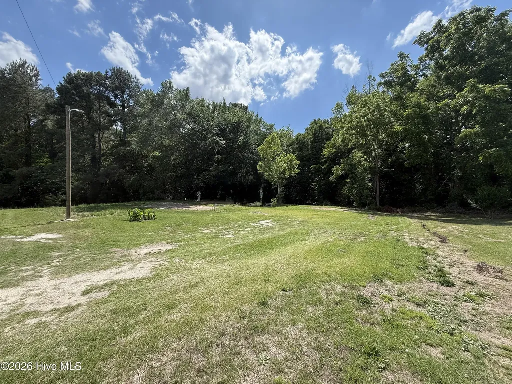 2684 Carolina Highway 111 S Seven Springs NC 28578