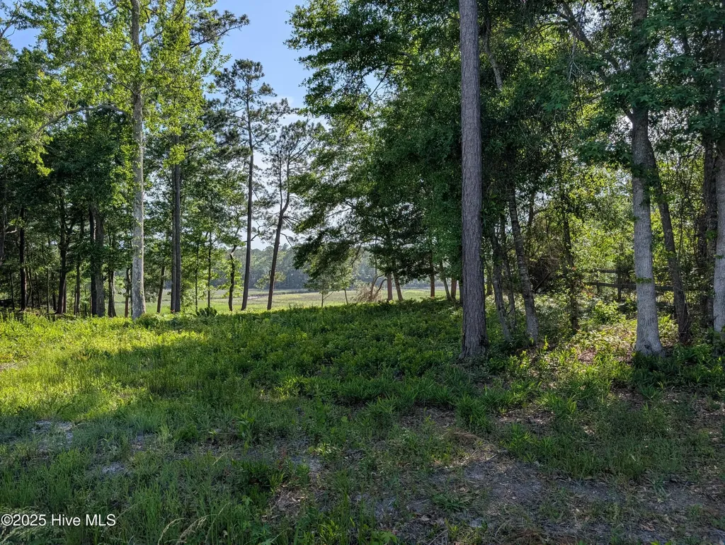 1709 Star Cross Drive SW Shallotte NC 28470