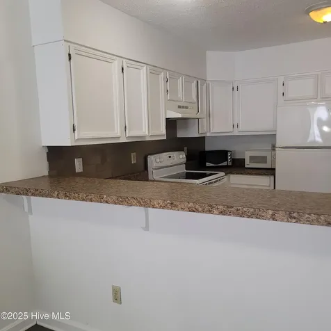 313 Lake Place Condo Drive Elizabethtown NC 28337