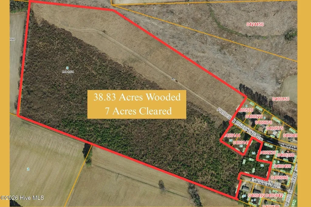 Tbd Pridgen Dead End Road La Grange NC 28551