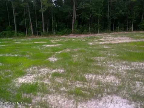 Tbd Pridgen Dead End Road La Grange NC 28551