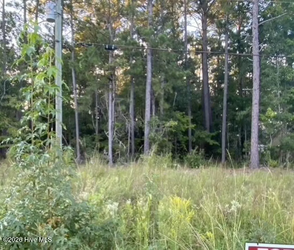 Tbd Burgaw Highway Jacksonville NC 28540