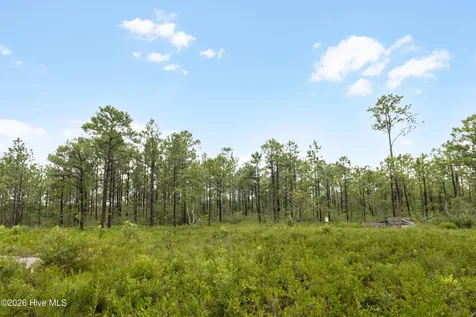 Tract 1 Hwy 17 Off Hampstead NC 28443
