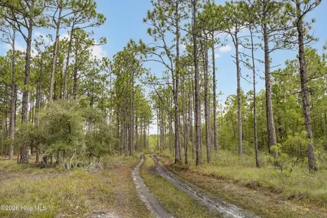 Tract 3 Hwy 17 Off Hampstead NC 28443