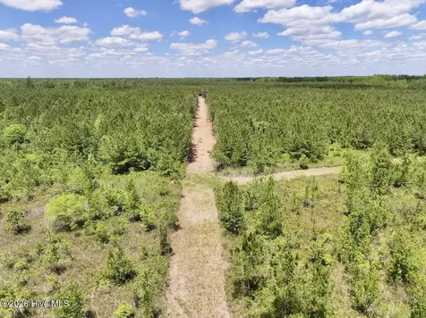 0 Guinea Mill 530 Road Ernul NC 28527
