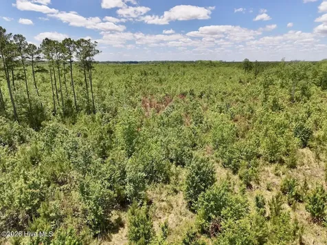 0 Guinea Mill 530 Road Ernul NC 28527