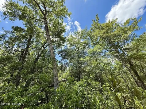 0 Guinea Mill 530 Road Ernul NC 28527
