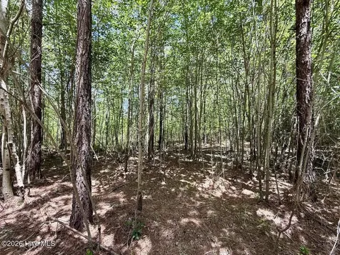 0 Guinea Mill 530 Road Ernul NC 28527