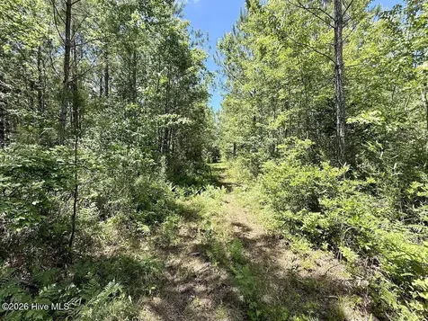 0 Guinea Mill 530 Road Ernul NC 28527