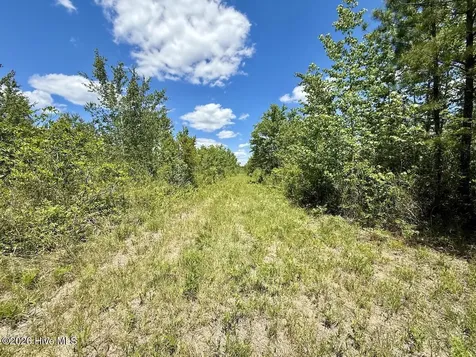 0 Guinea Mill 530 Road Ernul NC 28527