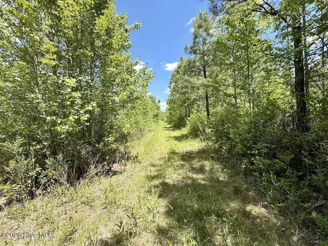 0 Guinea Mill 530 Road Ernul NC 28527