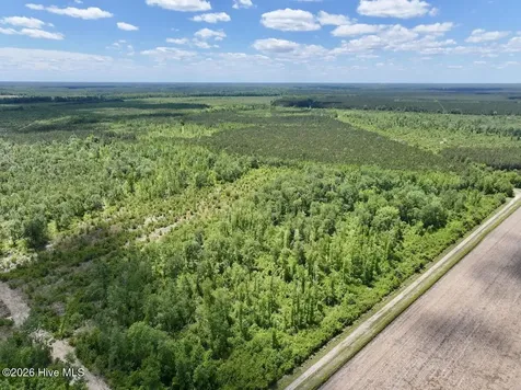0 Guinea Mill 530 Road Ernul NC 28527
