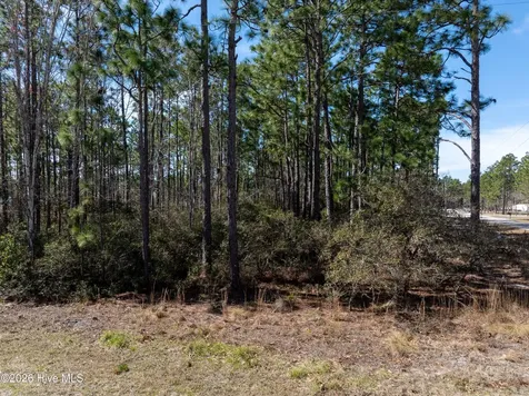 0 Monroe Road Boiling Spring Lakes NC 28461