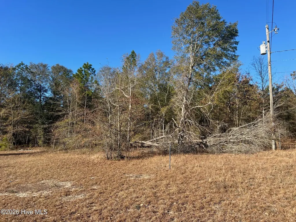 0 Golden Eagle Lane Hephzibah GA 30815
