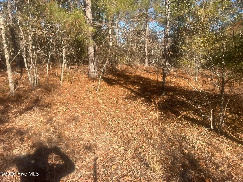 0 Golden Eagle Lane Hephzibah GA 30815