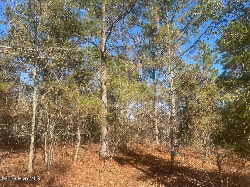 0 Golden Eagle Lane Hephzibah GA 30815