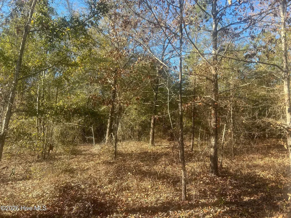 0 Golden Eagle Lane Hephzibah GA 30815