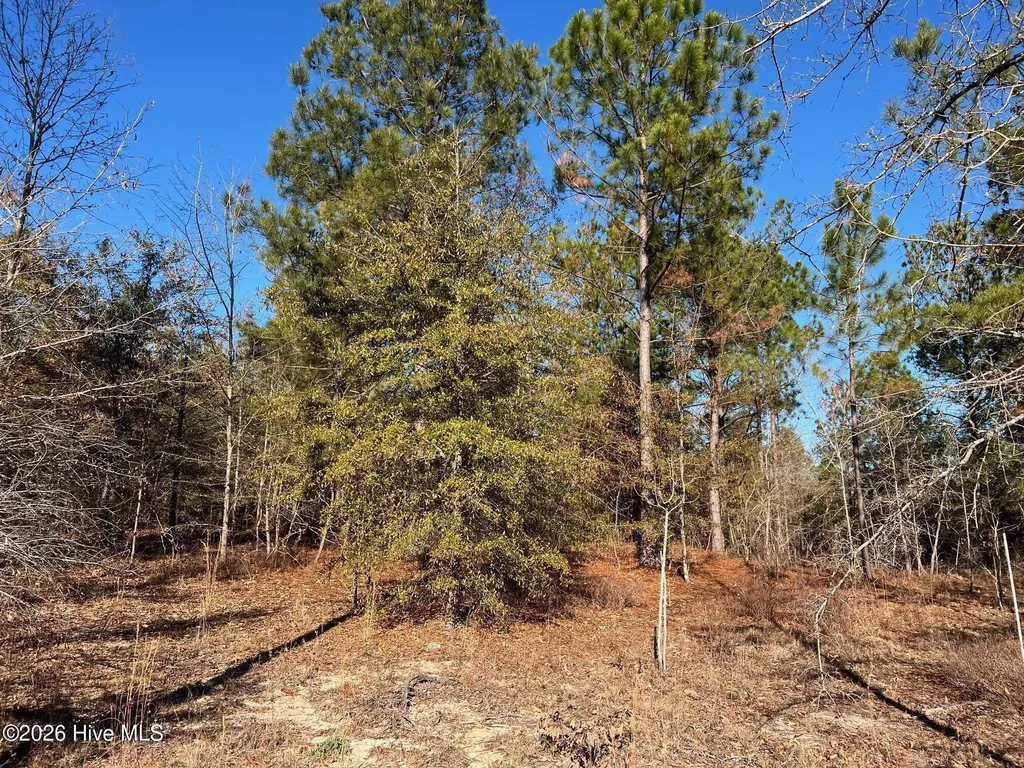 0 Golden Eagle Lane Hephzibah GA 30815