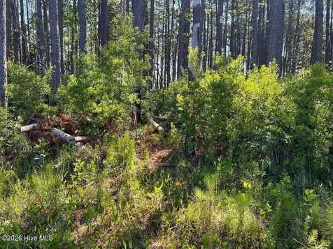 556 Highway 70 Smyrna Smyrna NC 28579