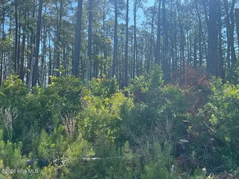 556 Highway 70 Smyrna Smyrna NC 28579