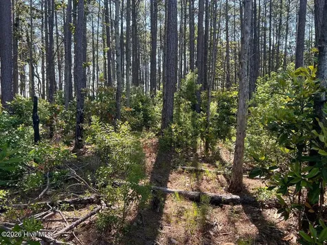 556 Highway 70 Smyrna Smyrna NC 28579