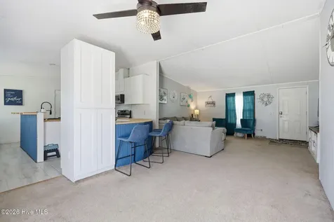 2651 Mark N Smith Road Deep Run NC 28525