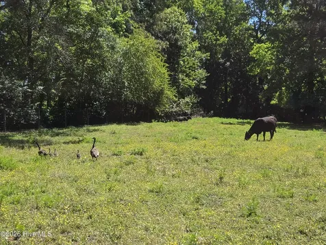 1807 Nc Highway 111 Chinquapin NC 28521